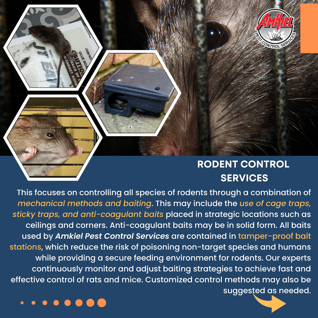 AMKIEL PEST CONTROL SERVICES